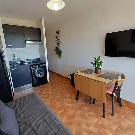 Apartmán T1 Cosy A Avec Animaux Admis, Proche Des Thermes - Fr-1-571-30 Balaruc-les-Bains